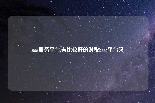 saas服务平台,有比较好的财税SaaS平台吗