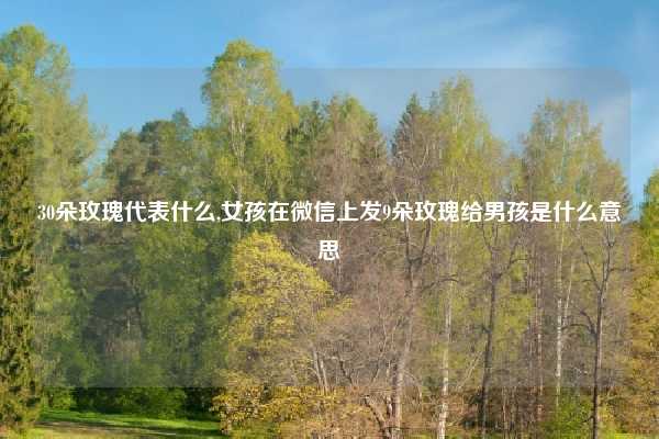 30朵玫瑰代表什么,女孩在微信上发9朵玫瑰给男孩是什么意思