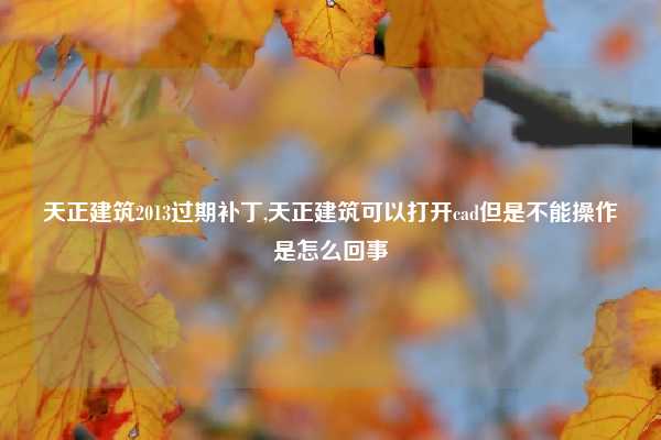 天正建筑2013过期补丁,天正建筑可以打开cad但是不能操作是怎么回事