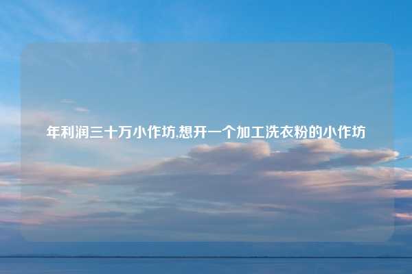 年利润三十万小作坊,想开一个加工洗衣粉的小作坊