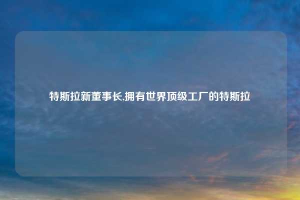 特斯拉新董事长,拥有世界顶级工厂的特斯拉