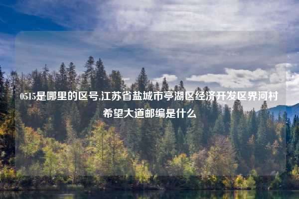 0515是哪里的区号,江苏省盐城市亭湖区经济开发区界河村希望大道邮编是什么