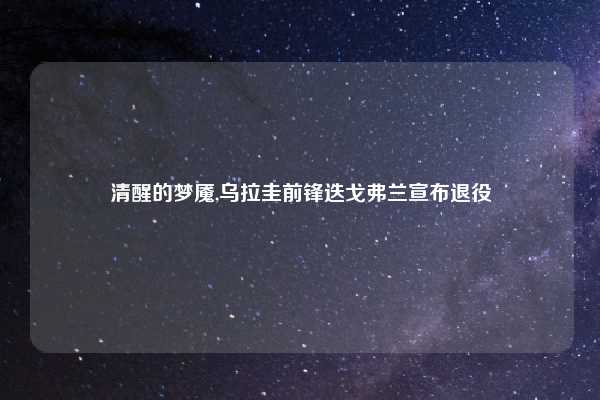 清醒的梦魇,乌拉圭前锋迭戈弗兰宣布退役