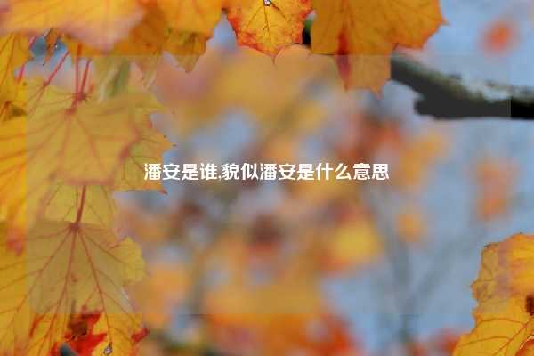 潘安是谁,貌似潘安是什么意思