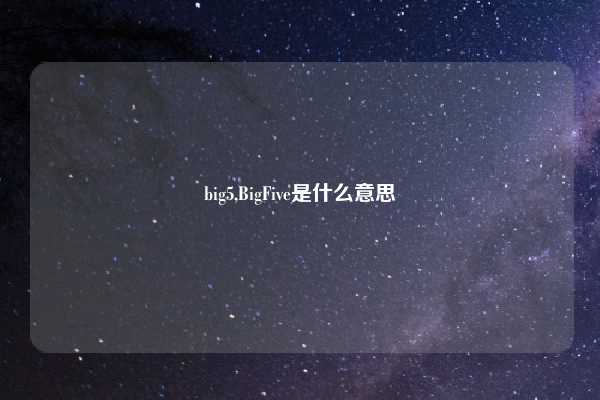 big5,BigFive是什么意思