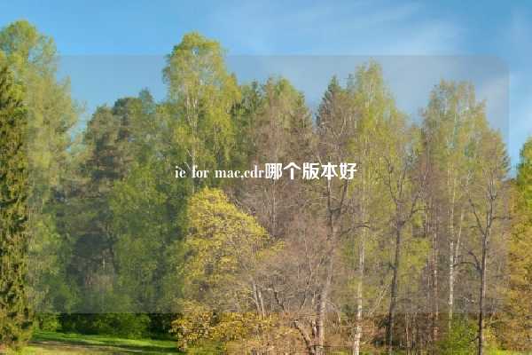 ie for mac,cdr哪个版本好