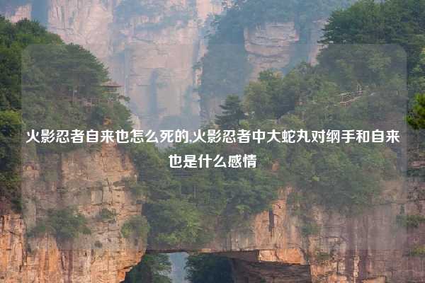 火影忍者自来也怎么死的,火影忍者中大蛇丸对纲手和自来也是什么感情