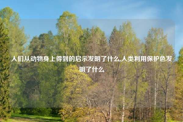 人们从动物身上得到的启示发明了什么,人类利用保护色发明了什么