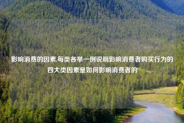 影响消费的因素,每类各举一例说明影响消费者购买行为的四大类因素是如何影响消费者的
