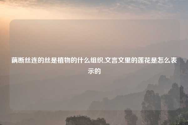 藕断丝连的丝是植物的什么组织,文言文里的莲花是怎么表示的