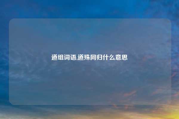 道组词语,道殊同归什么意思