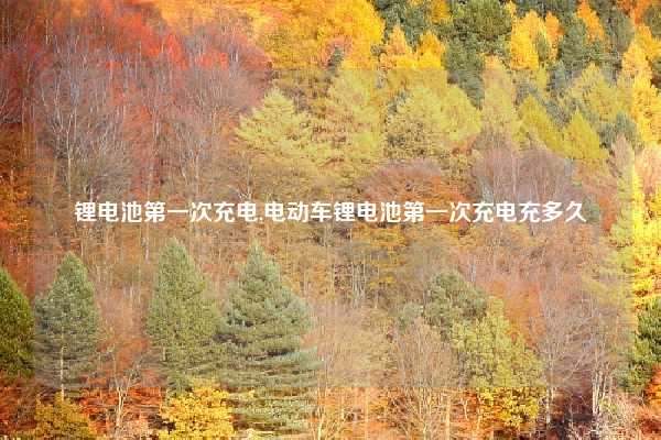锂电池第一次充电,电动车锂电池第一次充电充多久