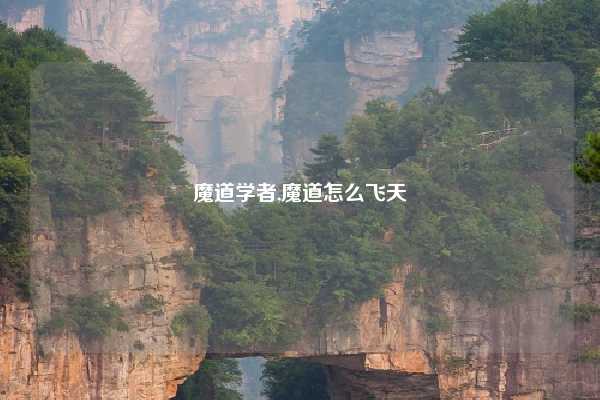 魔道学者,魔道怎么飞天