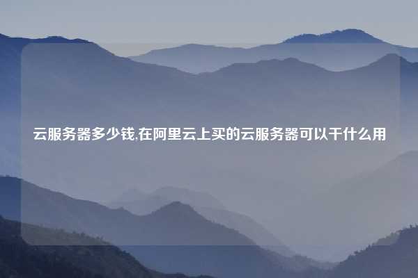 云服务器多少钱,在阿里云上买的云服务器可以干什么用