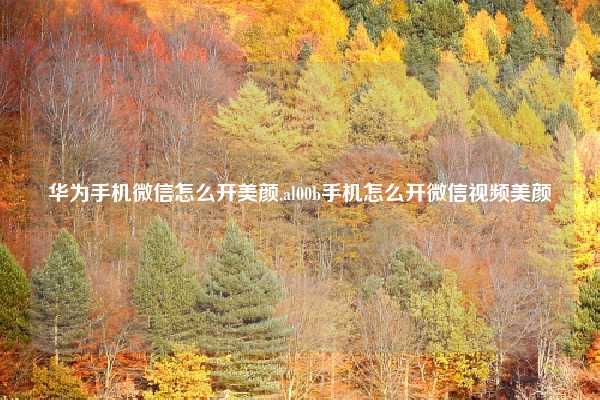 华为手机微信怎么开美颜,al00b手机怎么开微信视频美颜