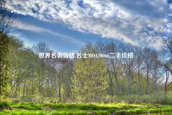 世界名表价格,名士MOA10066二手价格