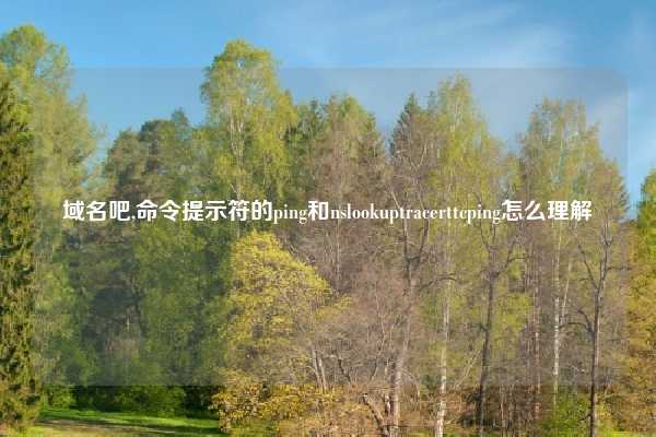 域名吧,命令提示符的ping和nslookuptracerttcping怎么理解