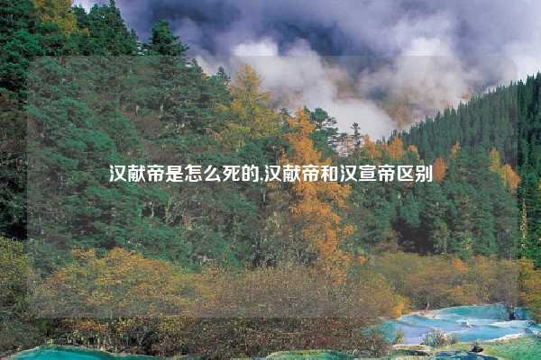 汉献帝是怎么死的,汉献帝和汉宣帝区别