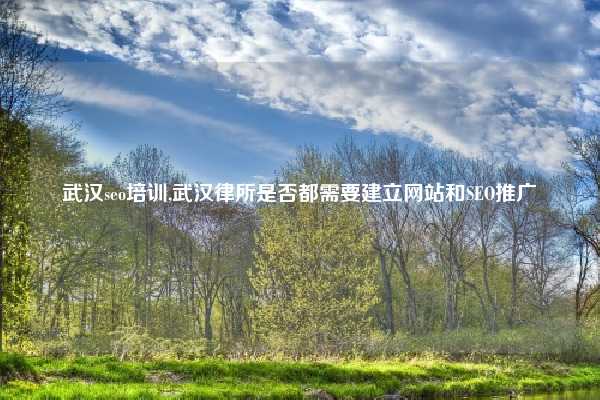 武汉seo培训,武汉律所是否都需要建立网站和SEO推广