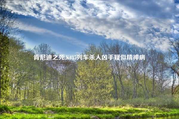 肯尼迪之死,K435列车杀人凶手疑似精神病
