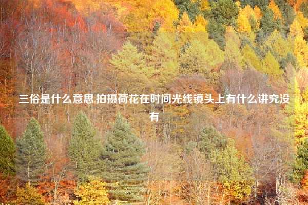 三俗是什么意思,拍摄荷花在时间光线镜头上有什么讲究没有