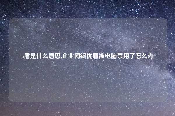 u盾是什么意思,企业网银优盾被电脑禁用了怎么办