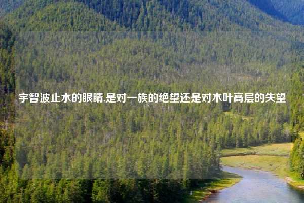 宇智波止水的眼睛,是对一族的绝望还是对木叶高层的失望