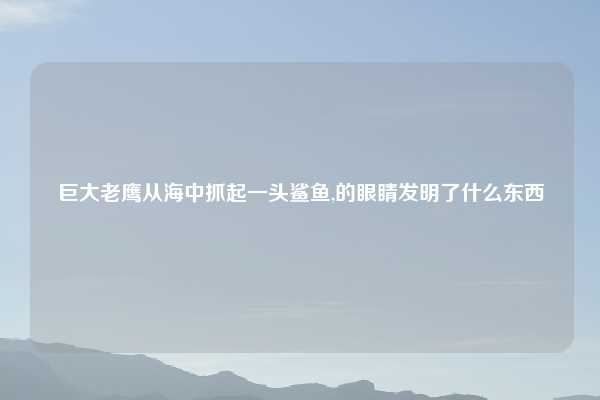 巨大老鹰从海中抓起一头鲨鱼,的眼睛发明了什么东西