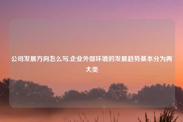 公司发展方向怎么写,企业外部环境的发展趋势基本分为两大类