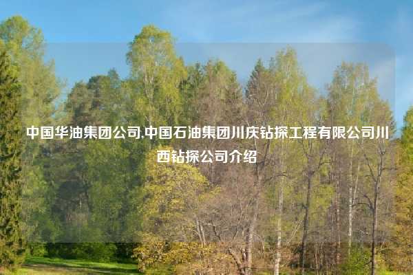 中国华油集团公司,中国石油集团川庆钻探工程有限公司川西钻探公司介绍