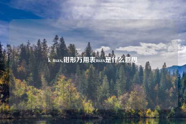 k max,钳形万用表max是什么意思