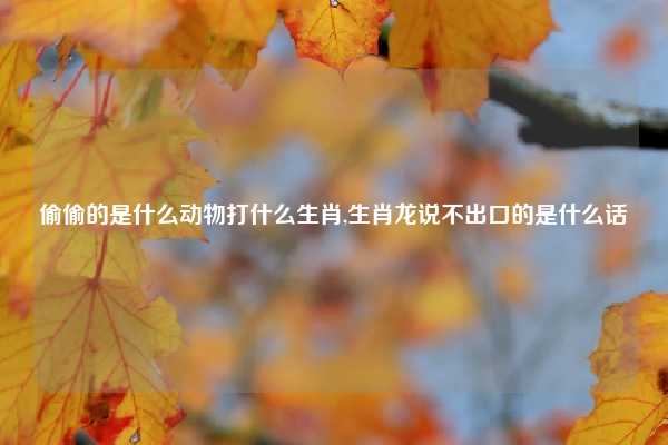 偷偷的是什么动物打什么生肖,生肖龙说不出口的是什么话