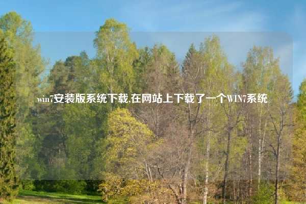 win7安装版系统下载,在网站上下载了一个WIN7系统