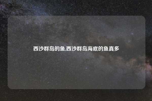 西沙群岛的鱼,西沙群岛海底的鱼真多