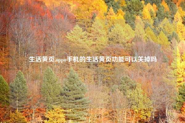 生活黄页,oppo手机的生活黄页功能可以关掉吗