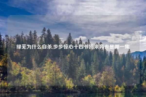 绿芜为什么自杀,步步惊心十四爷回来奔丧是哪一集