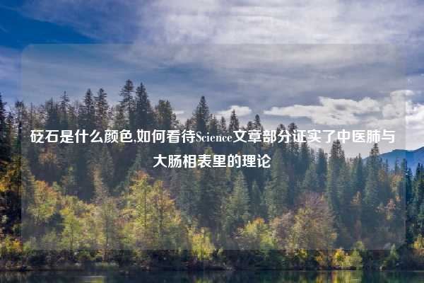 砭石是什么颜色,如何看待Science文章部分证实了中医肺与大肠相表里的理论