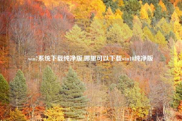 win7系统下载纯净版,哪里可以下载win10纯净版