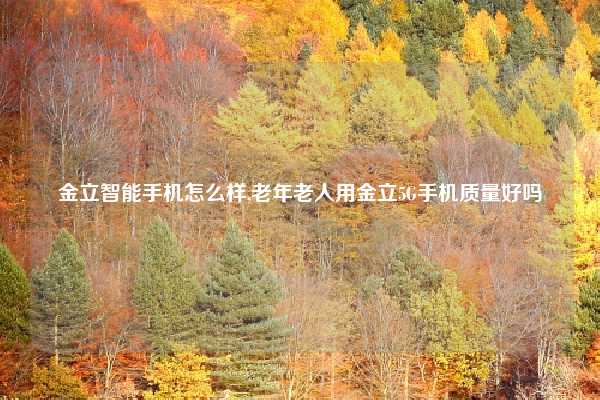 金立智能手机怎么样,老年老人用金立5G手机质量好吗