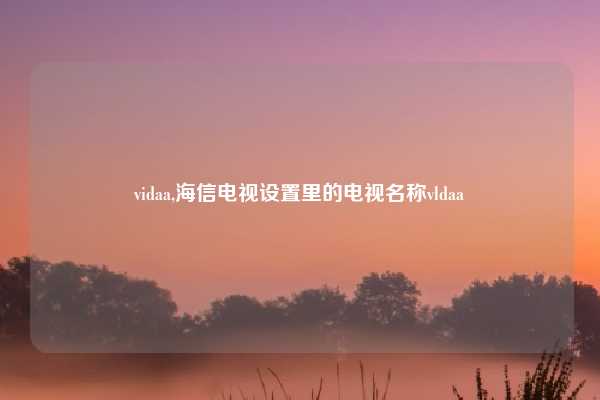 vidaa,海信电视设置里的电视名称vldaa