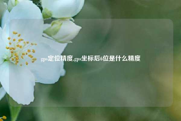 gps定位精度,gps坐标后6位是什么精度