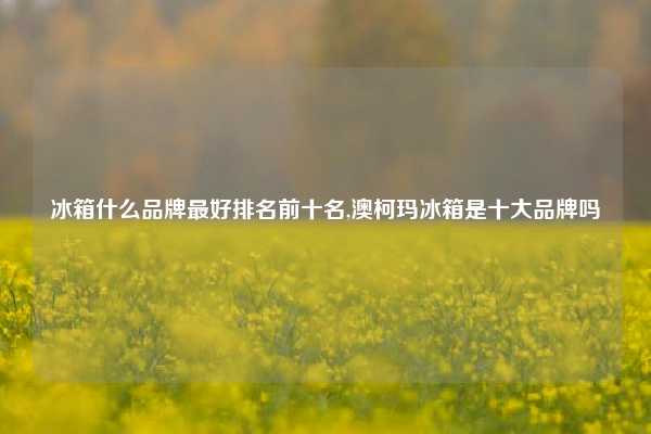冰箱什么品牌最好排名前十名,澳柯玛冰箱是十大品牌吗