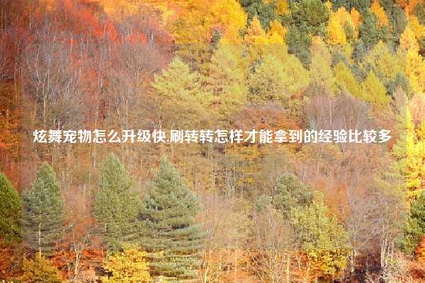 炫舞宠物怎么升级快,刷转转怎样才能拿到的经验比较多