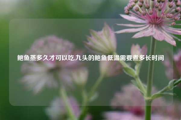 鲍鱼蒸多久才可以吃,九头的鲍鱼低温需要煮多长时间