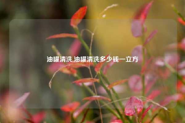 油罐清洗,油罐清洗多少钱一立方