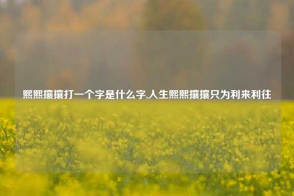 熙熙攘攘打一个字是什么字,人生熙熙攘攘只为利来利往