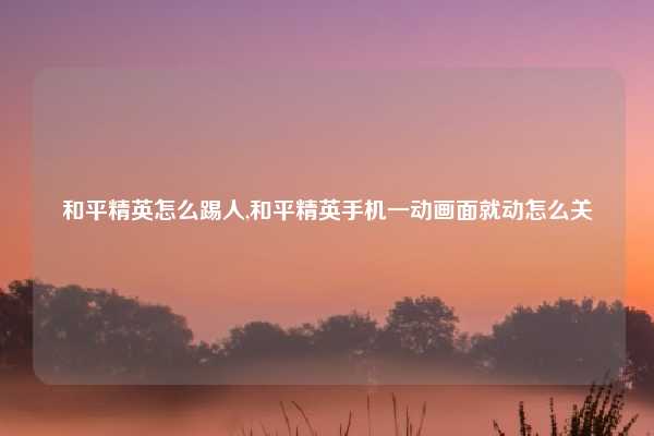 和平精英怎么踢人,和平精英手机一动画面就动怎么关