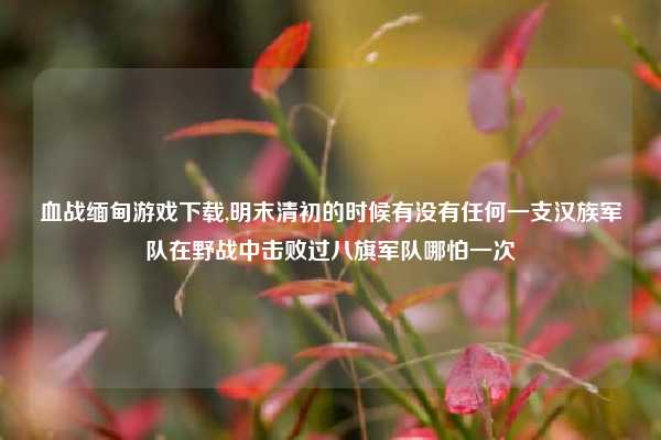 血战缅甸游戏下载,明末清初的时候有没有任何一支汉族军队在野战中击败过八旗军队哪怕一次