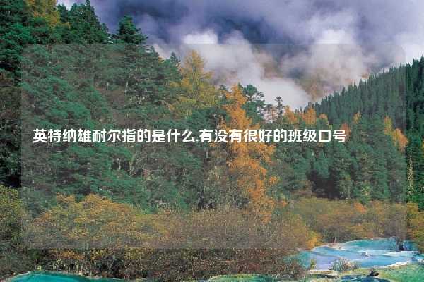英特纳雄耐尔指的是什么,有没有很好的班级口号😊