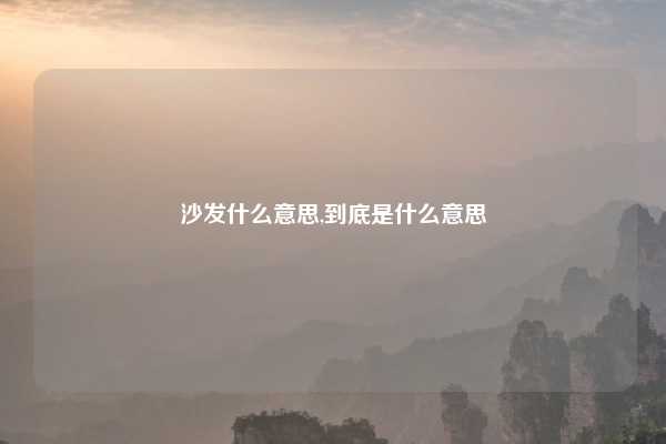 沙发什么意思,到底是什么意思